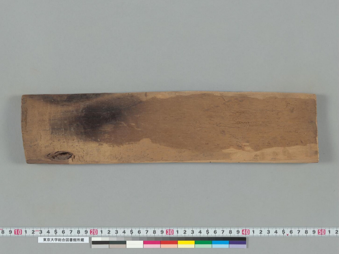 Laṅkāvatārasūtra manuscript preview