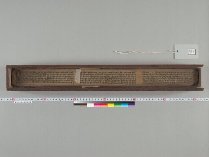 Laṅkāvatārasūtra and Samādhirājasūtra manuscript preview