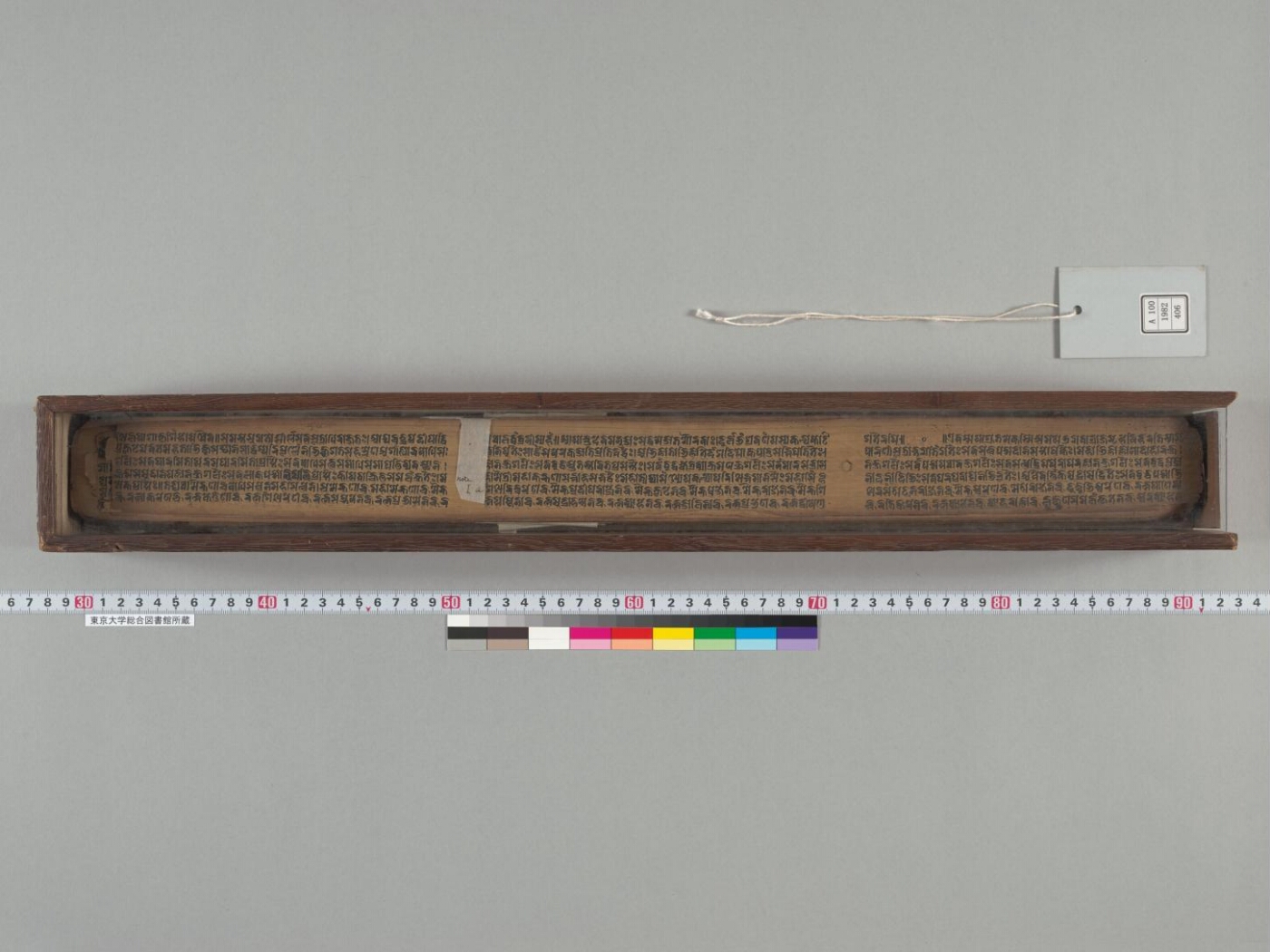 Laṅkāvatārasūtra and Samādhirājasūtra manuscript preview