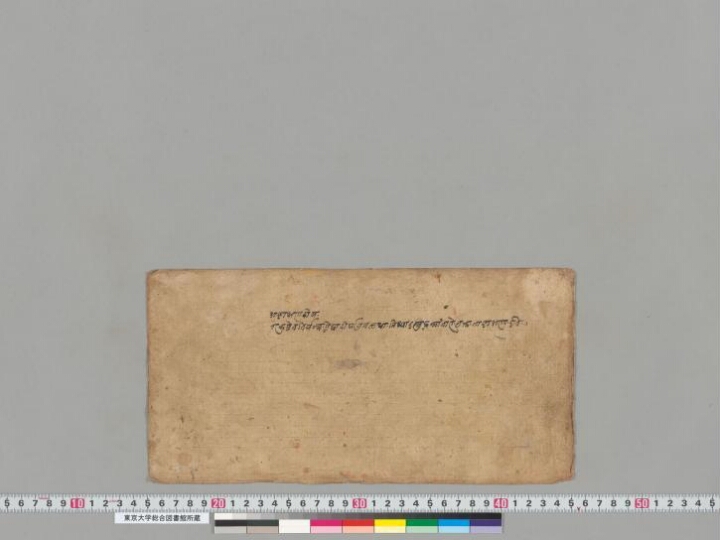 Lalitavistara manuscript preview
