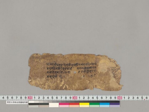 Composite text manuscript preview