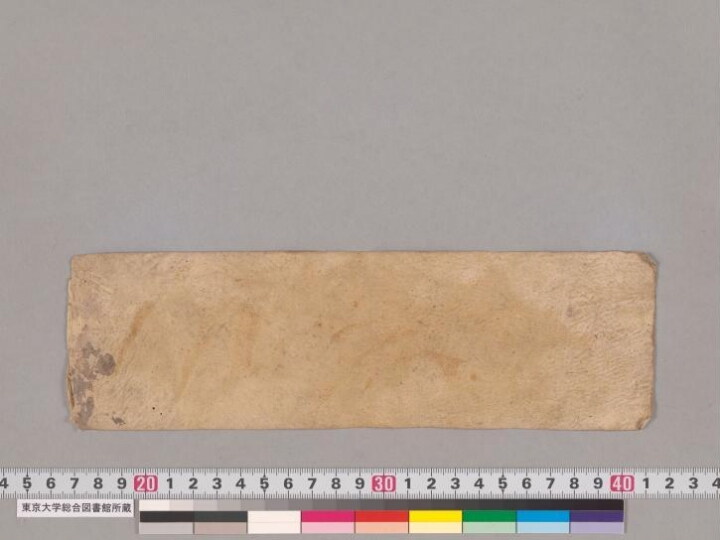 Varṣāpaṇavidhi manuscript preview
