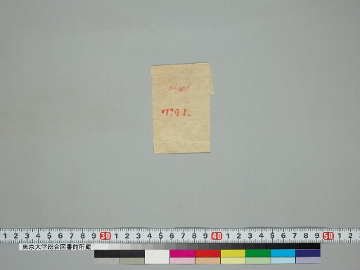 Vasudhārāvratapūrvamaṇḍalāgatasūryaprabhākathā manuscript preview