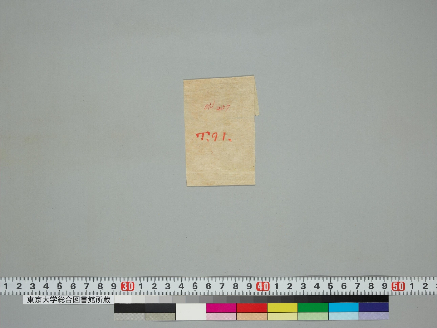 Vasudhārāvratapūrvamaṇḍalāgatasūryaprabhākathā manuscript preview