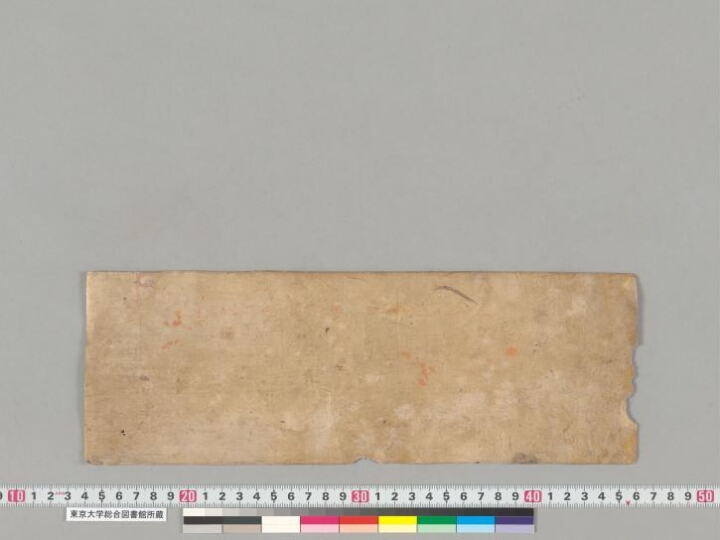 Vasudhārāvratasarvavidhāna manuscript preview