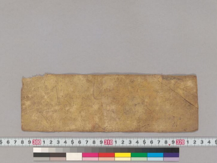 Vasudhārānāmāṣṭottaraśata; Vajravidāraṇahṛdayamantradhāraṇī manuscript preview