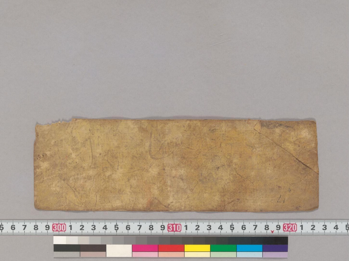 Vasudhārānāmāṣṭottaraśata; Vajravidāraṇahṛdayamantradhāraṇī manuscript preview