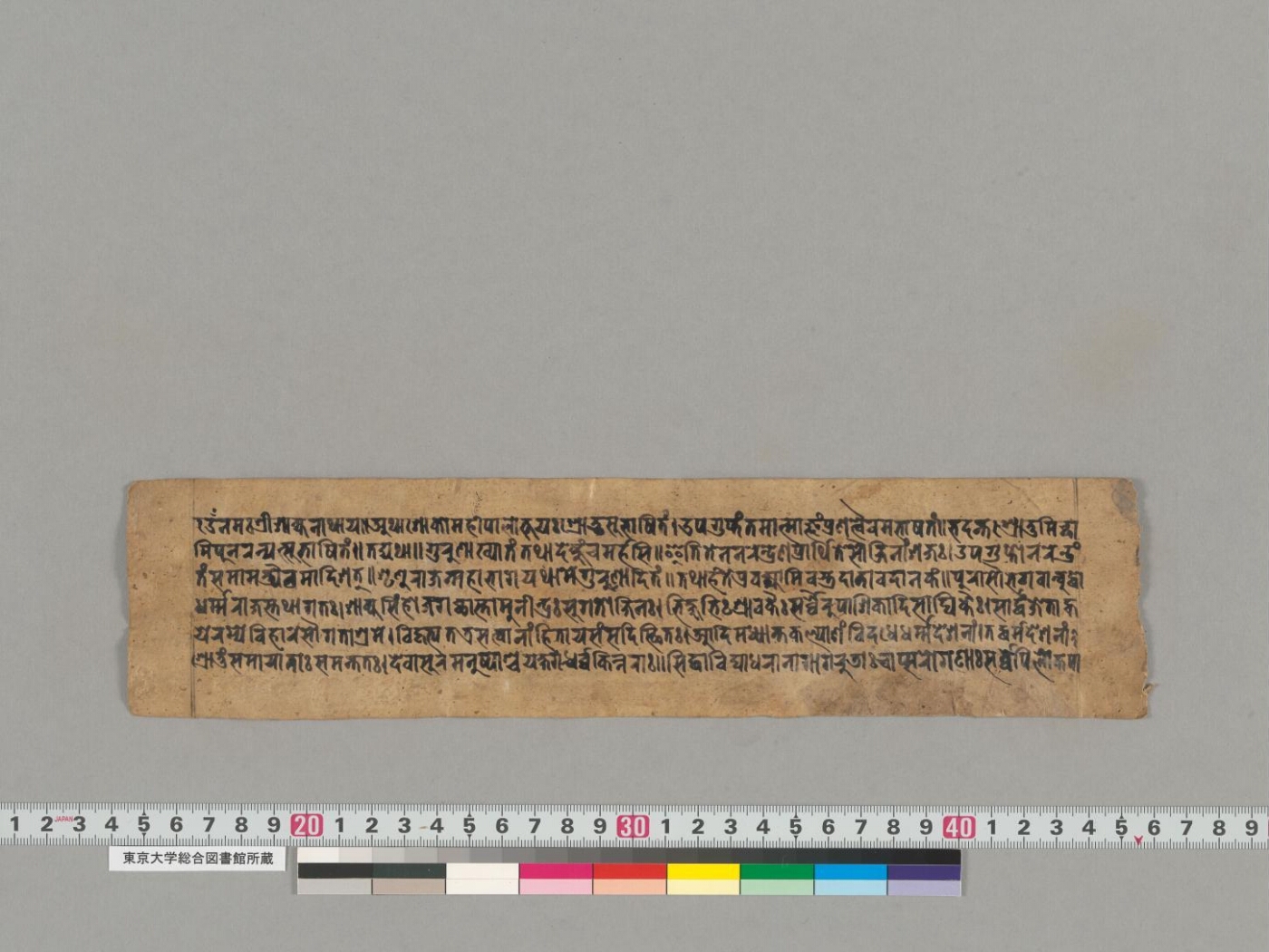 Vastrapradānāvadāna manuscript preview