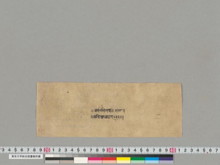 Vāsiṣṭhaparipṛṣṭopoṣadhāvadāna manuscript preview