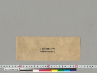 Vāsiṣṭhaparipṛṣṭopoṣadhāvadāna folio 1
