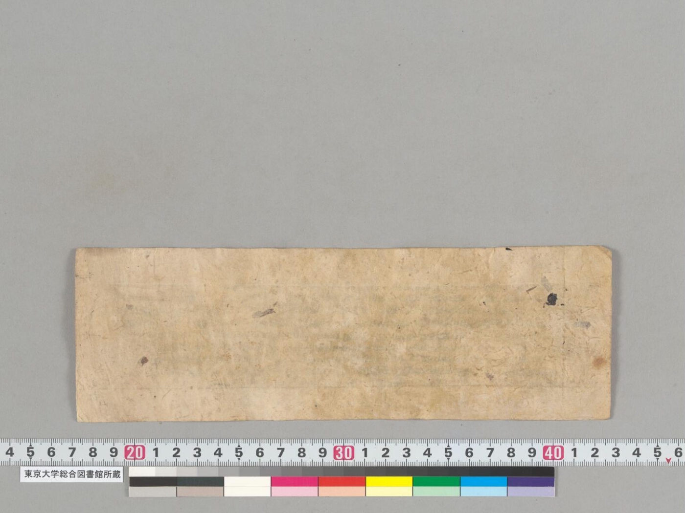 Composite manuscript; Vāsiṣṭhaparipṛṣṭopoṣadhāvadāna and Sānumattajadoṣanirṇayā nāma bhuktāṣṭamīvratapoṣadhāvadāna manuscript preview