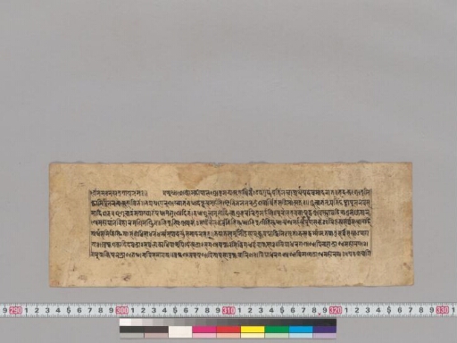Vicitrakarṇikāvadāna manuscript preview