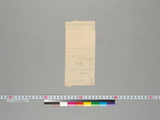 Vicitrakarṇikāvadāna manuscript preview