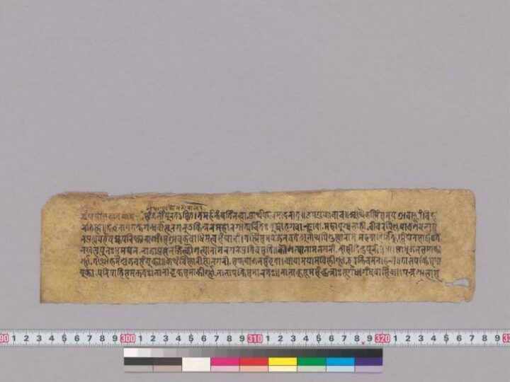 Vicitrakarṇikāvadāna manuscript preview