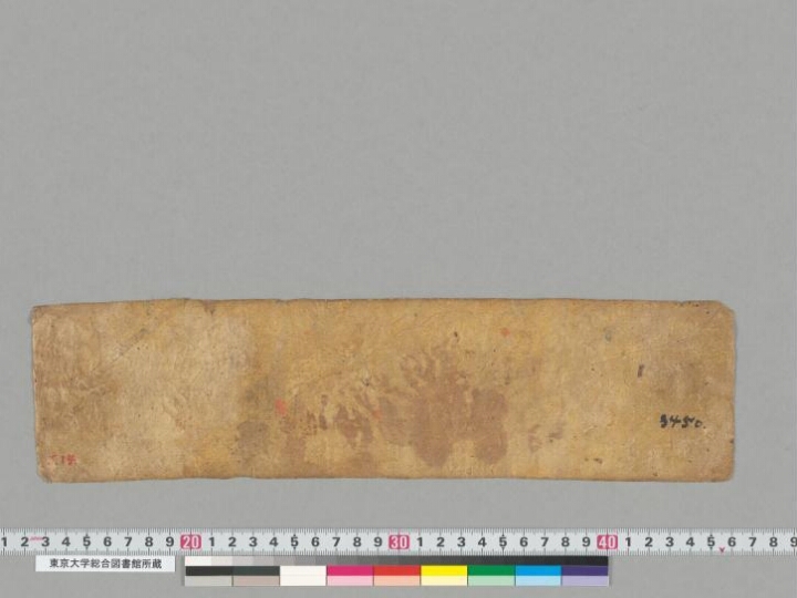 Vicitrakarṇikāvadāna manuscript preview