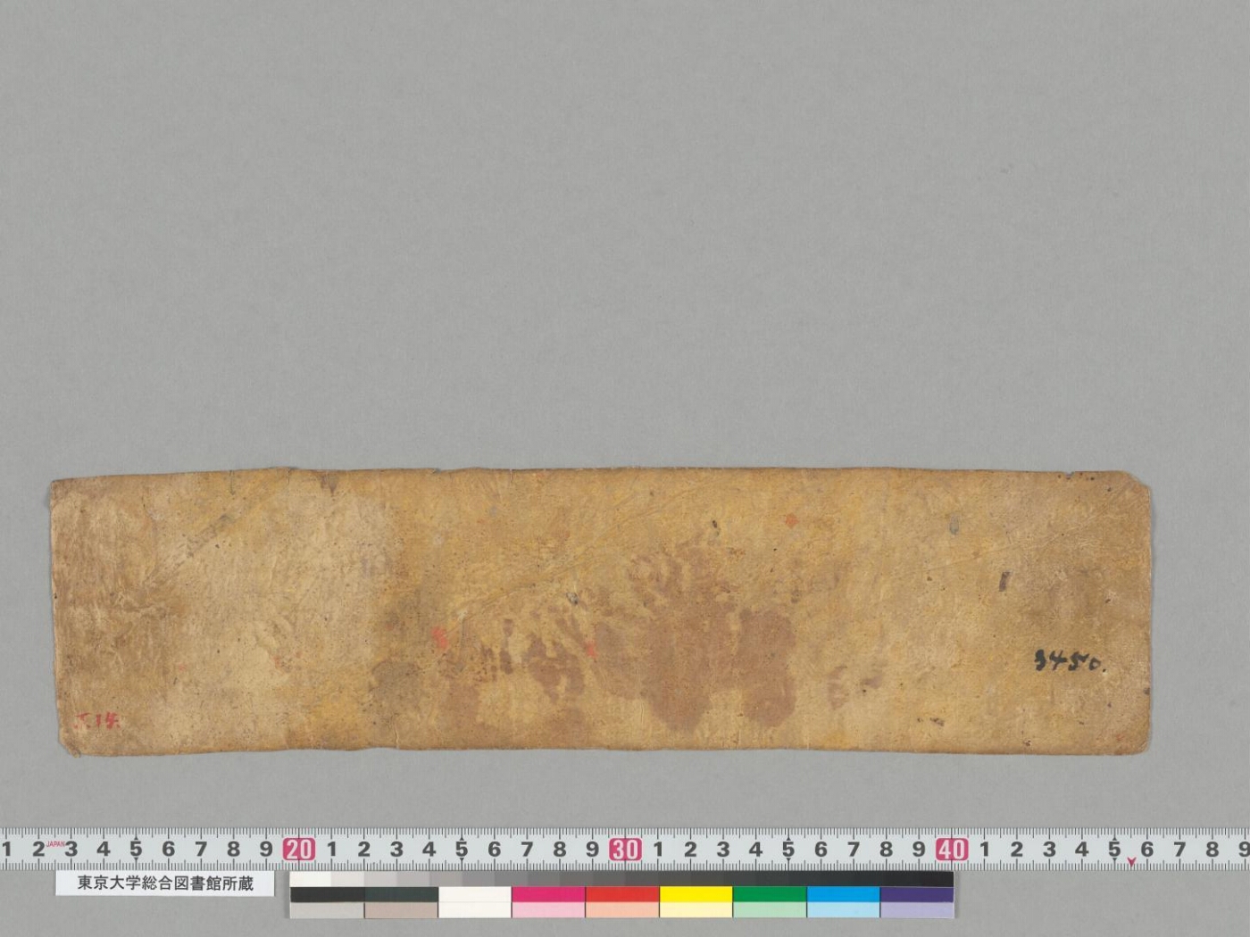Vicitrakarṇikāvadāna manuscript preview