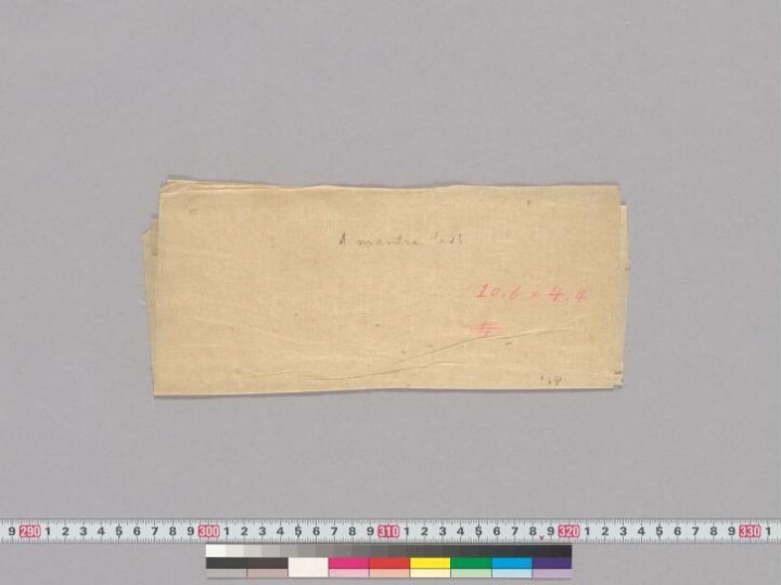 Vibhūtidhāraṇa manuscript preview
