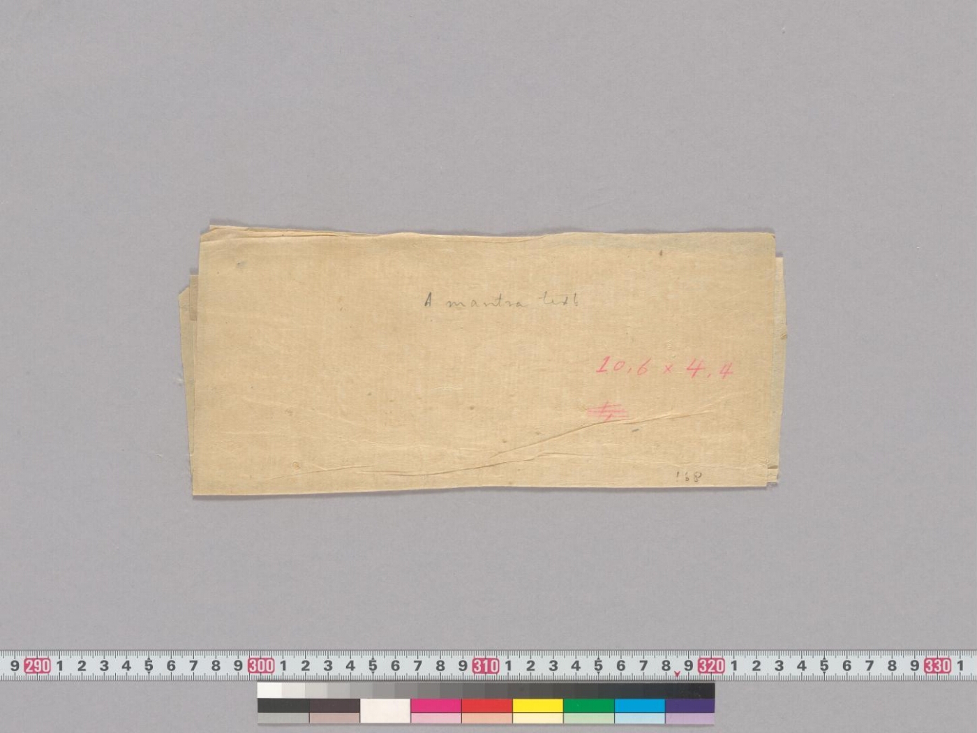 Vibhūtidhāraṇa manuscript preview