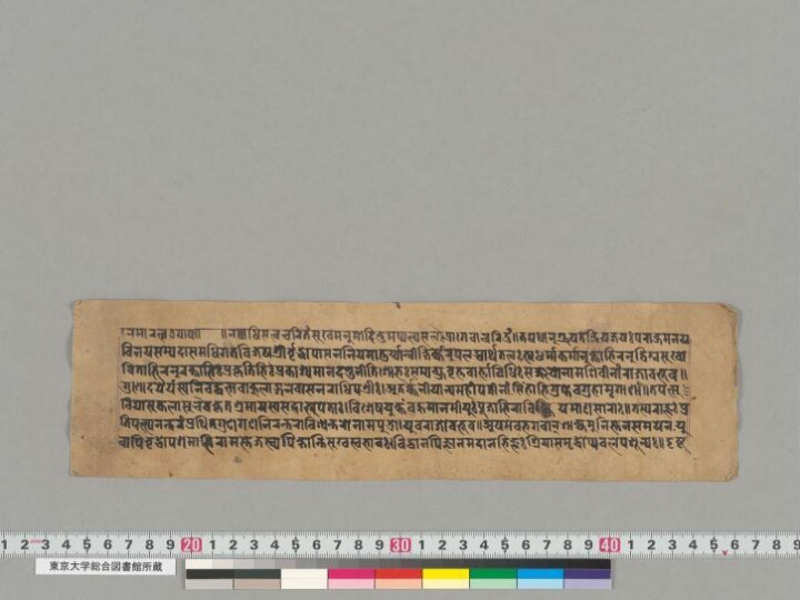 Viśvantarajātaka manuscript preview