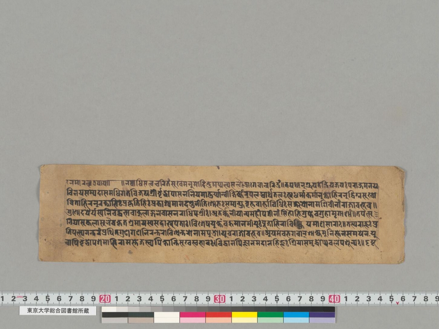 Viśvantarajātaka manuscript preview
