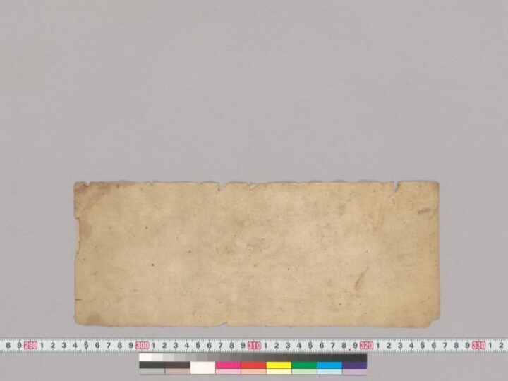 Viśvaprakāśābhidhāna manuscript preview