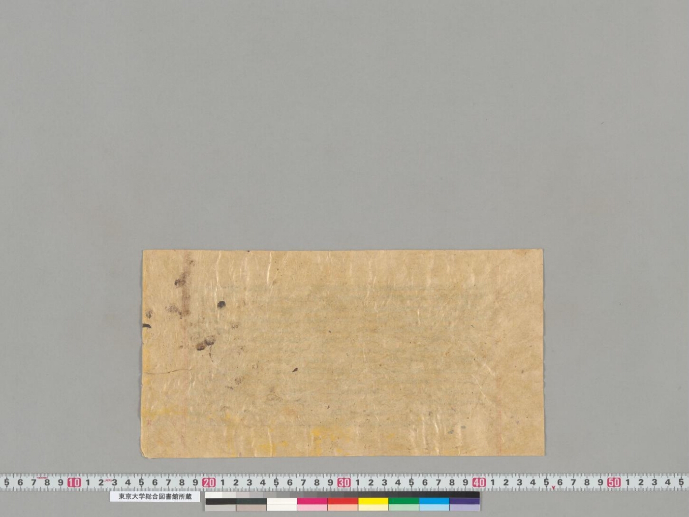 Śāriputramaudgalyāyaṇayor ṛddhivivādasūtra(?) manuscript preview