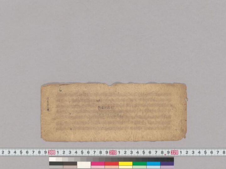 Śiśubodhinī manuscript preview