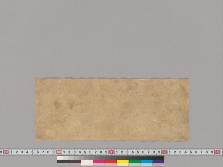 Śiṣyalekha manuscript preview