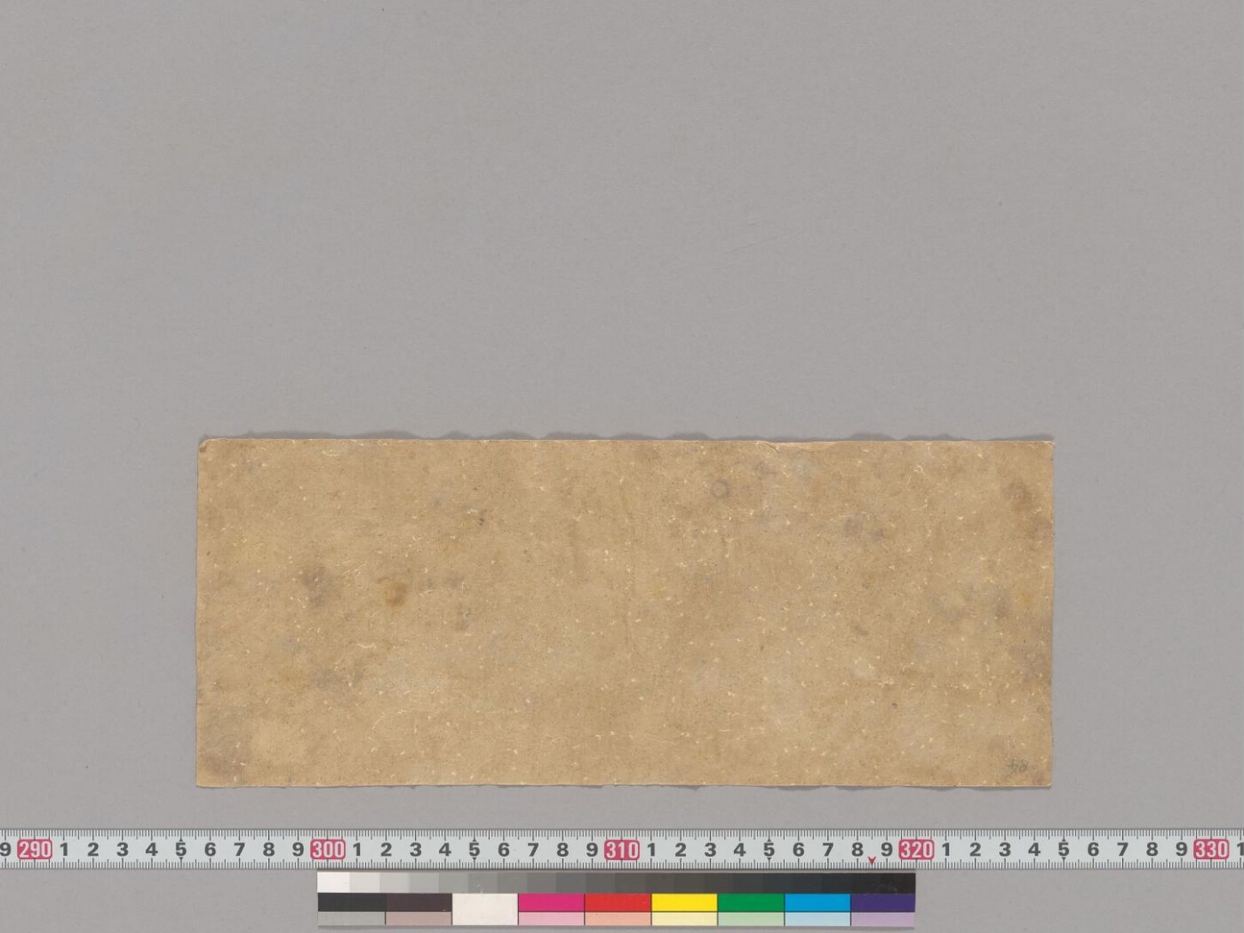 Śiṣyalekha manuscript preview