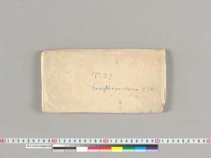Sragdharāṭīkā manuscript preview