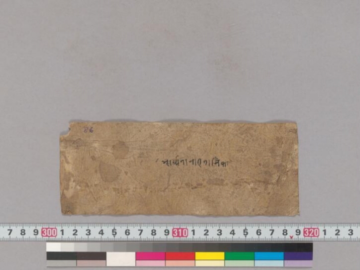 Sragdharāstuti manuscript preview
