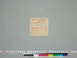 Sragdharāstotra folio 1