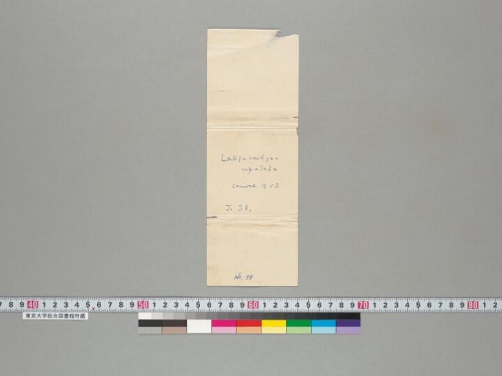 Lakṣakṣacaityasyopadeśakṛtamāhātmya manuscript preview