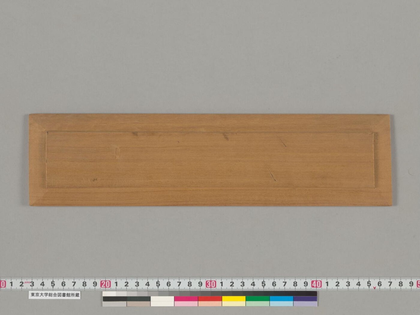 Śroṇakoṭikarṇāvadāna manuscript preview