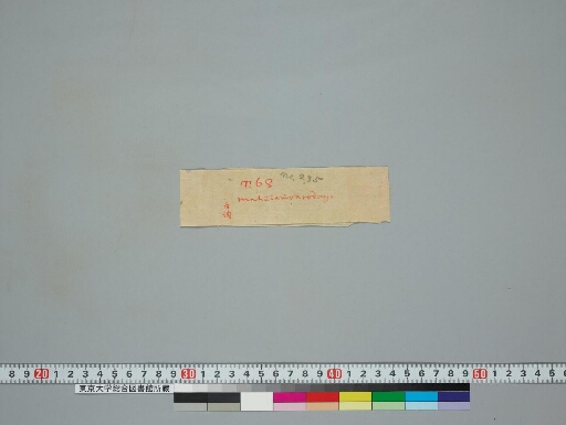 Saṃvarodayatantra manuscript preview