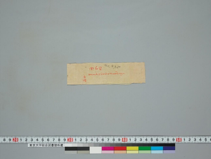 Saṃvarodayatantra manuscript preview