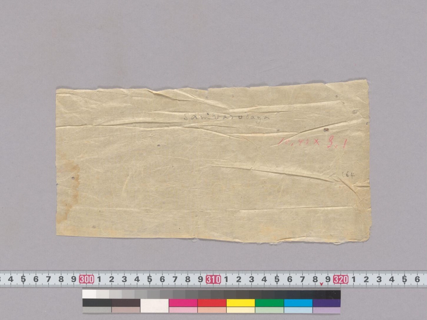 Saṃvarodayatantra manuscript preview