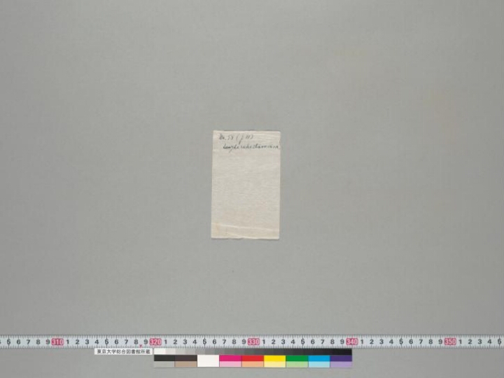 Saṅgharakṣitāvadāna manuscript preview