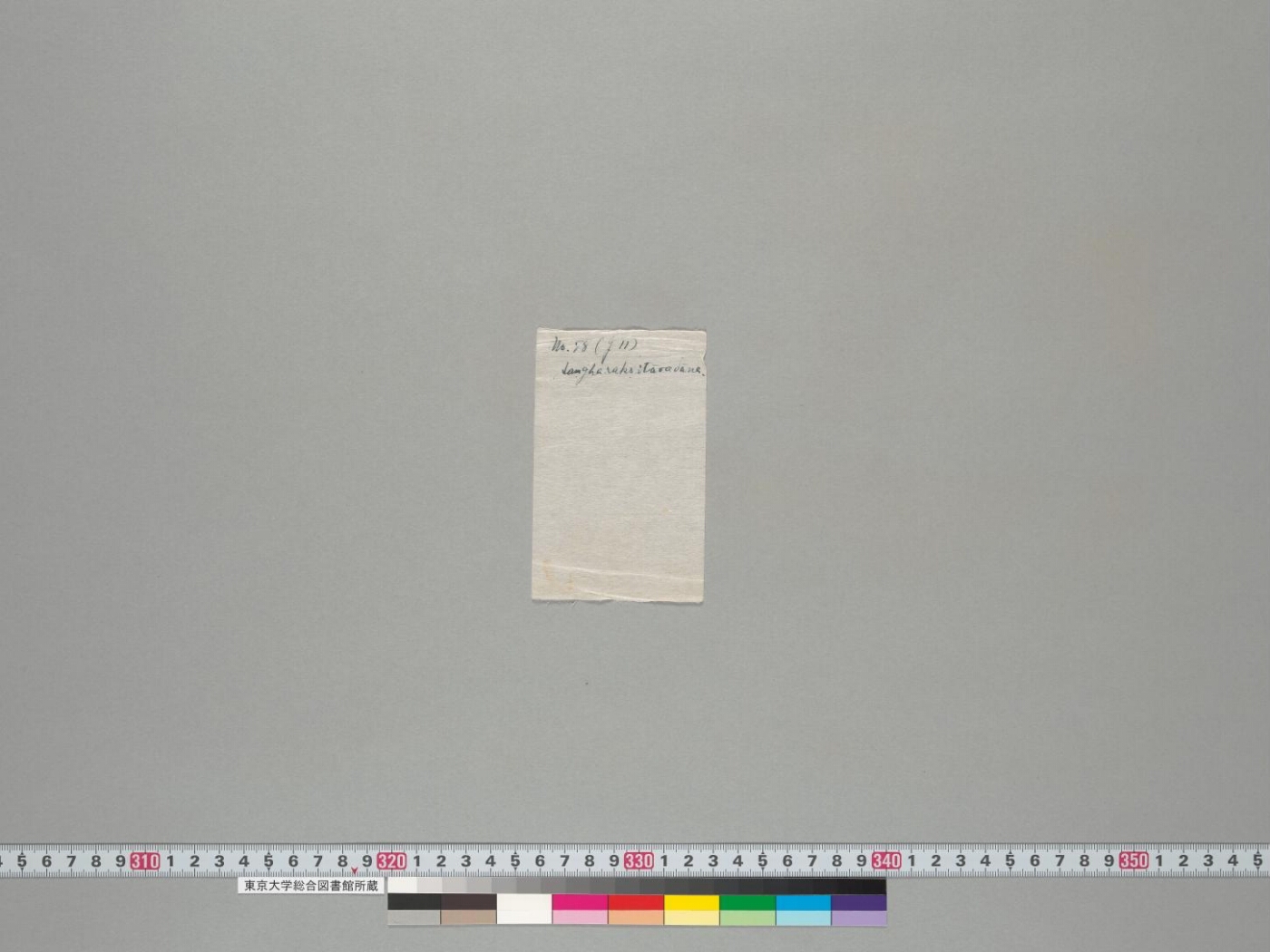 Saṅgharakṣitāvadāna manuscript preview