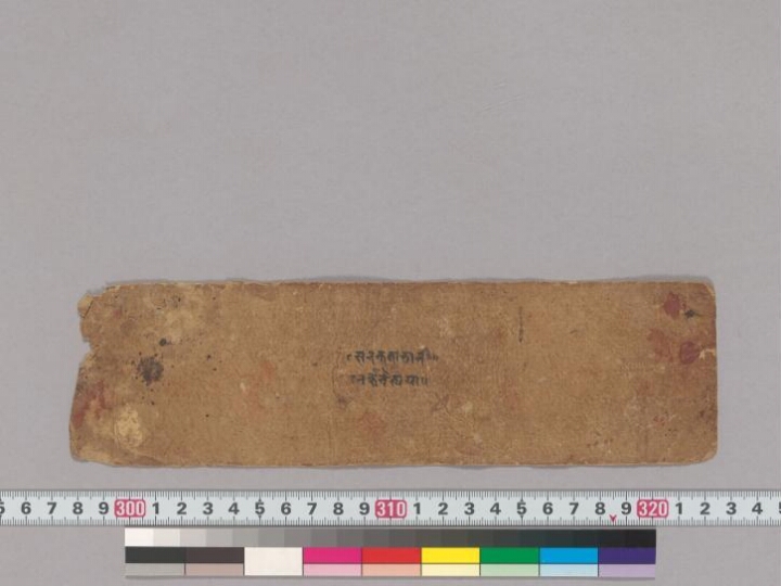 Saccakatāḍanāvadāna(?) manuscript preview