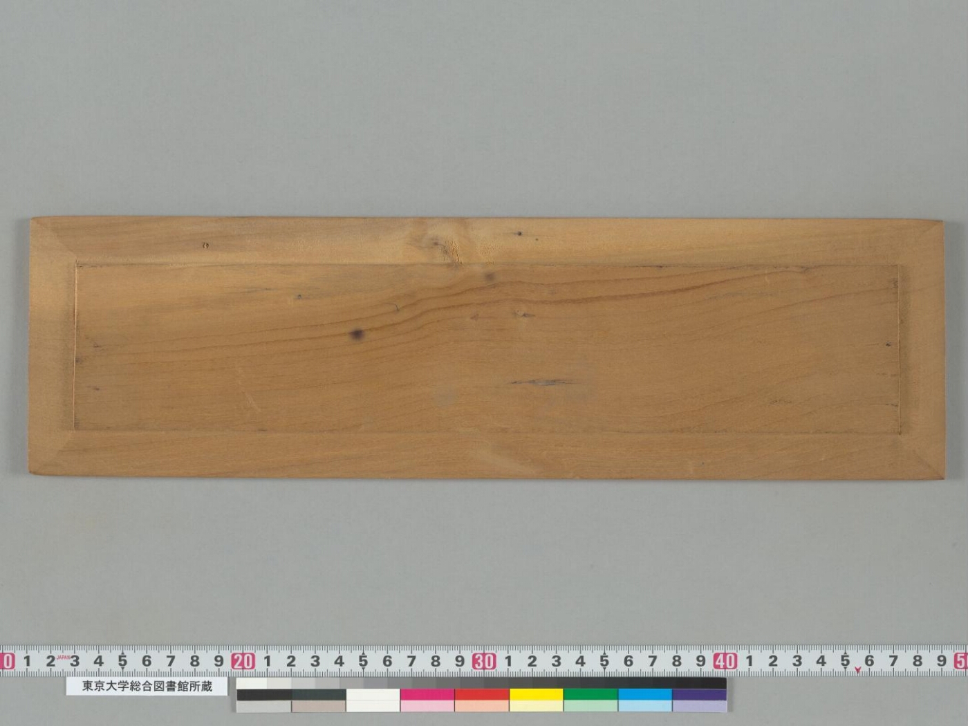 Saddharmapuṇḍarīkasūtra manuscript preview