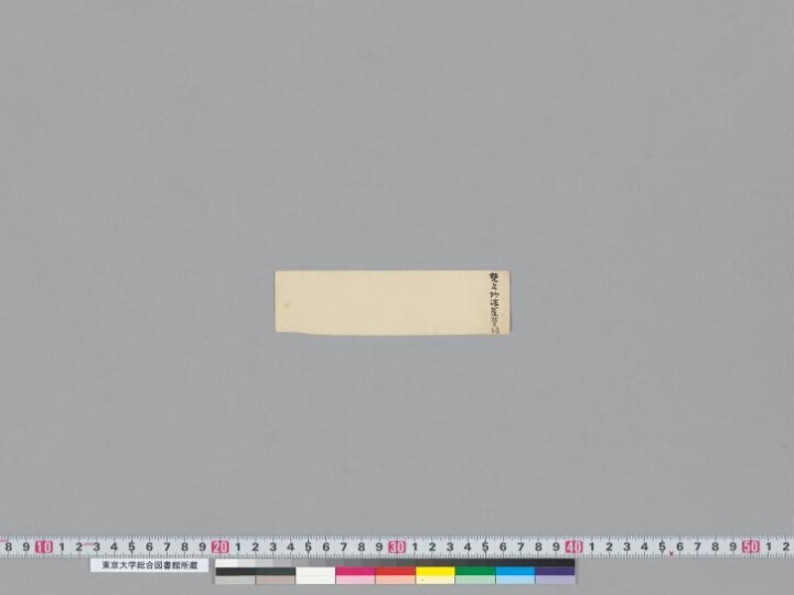 Saddharmapuṇḍarīkasūtra manuscript preview