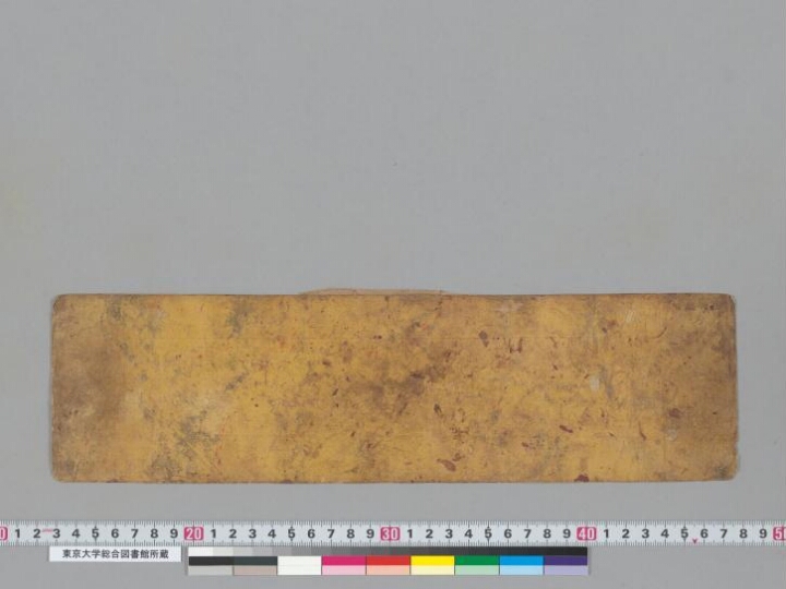 Saddharmapuṇḍarīkasūtra manuscript preview