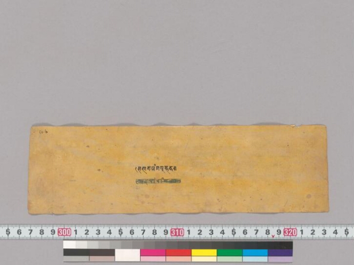 Sabhātaraṅgapustaka manuscript preview