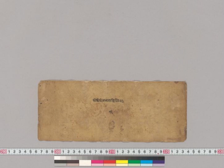 Sabhātaraṅgiṇī manuscript preview