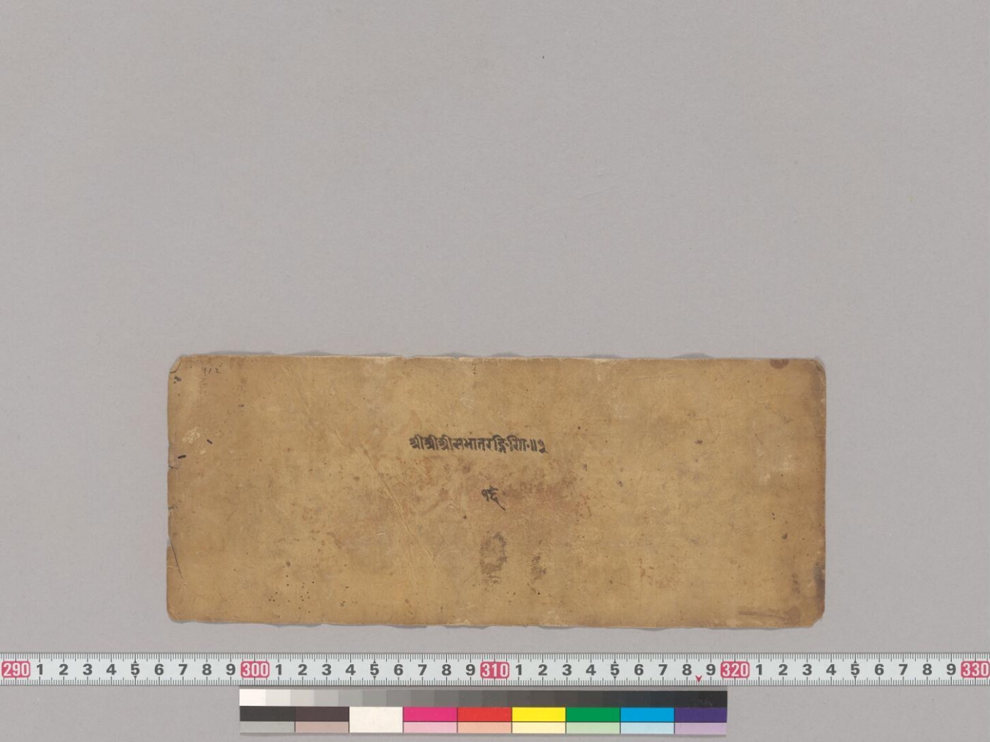 Sabhātaraṅgiṇī manuscript preview