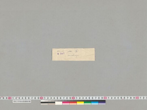 Samādhirājasūtra manuscript preview