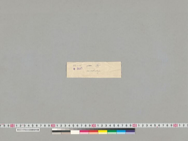 Samādhirājasūtra manuscript preview