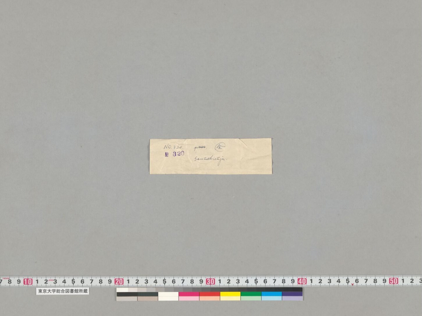 Samādhirājasūtra manuscript preview