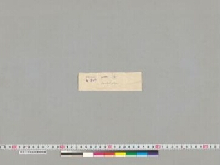 Samādhirājasūtra folio 1